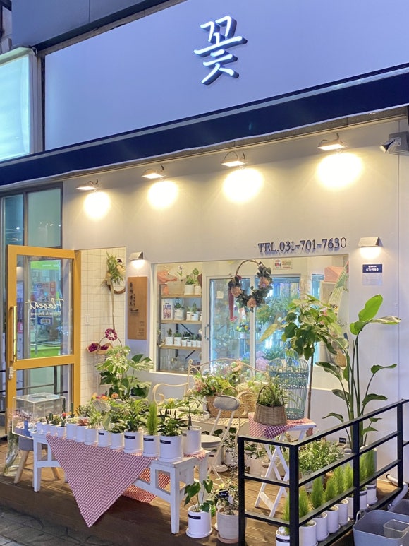 플라젠트 이미지