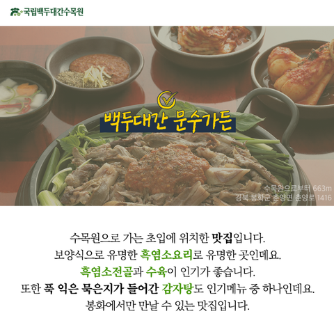 예담초 이미지