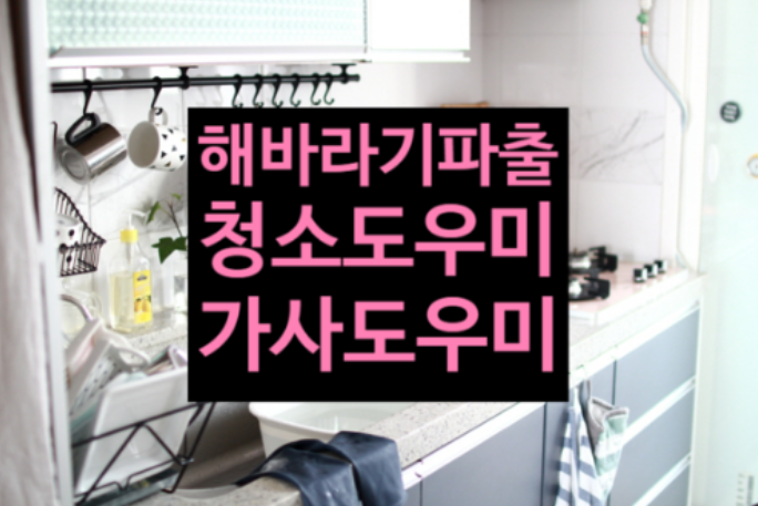 해바라기파출 이미지
