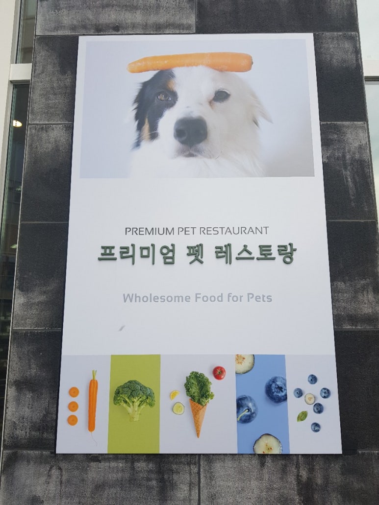 포지티브 보울(Pawsitive Bowl) 이미지