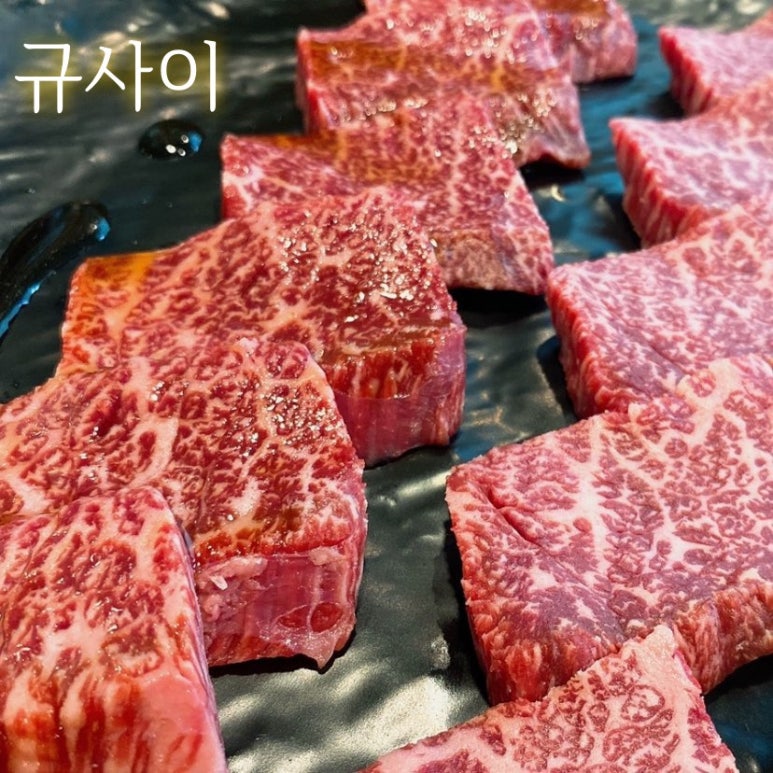 규사이 이미지