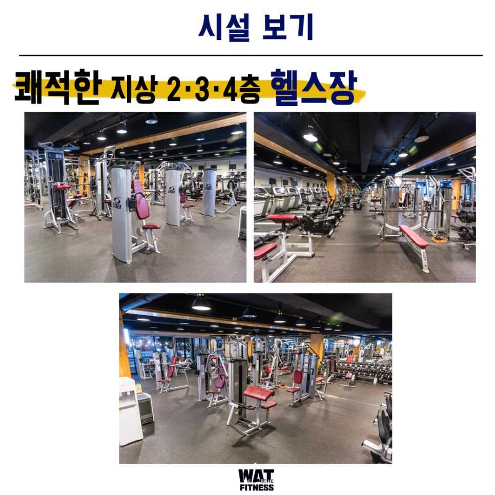 위아더휘트니스 이미지