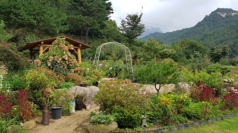 문경숲속정원 이미지