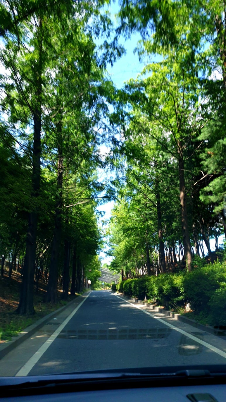 탄천종합운동장(주차장) 이미지