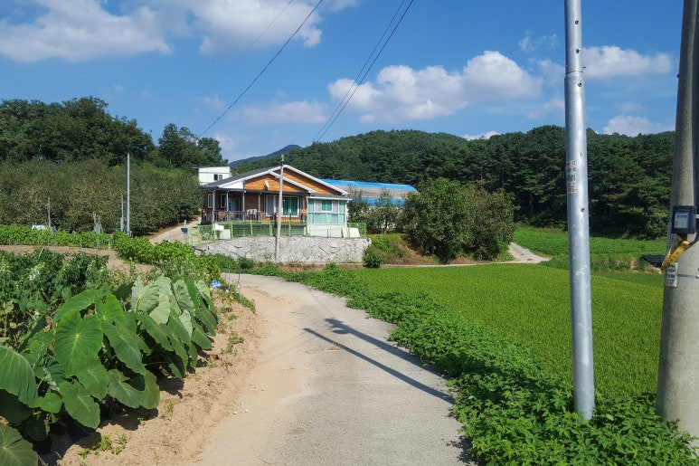 한기농원산골사과 이미지