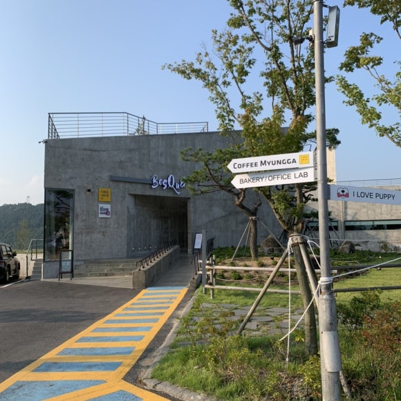 차보스케 이미지