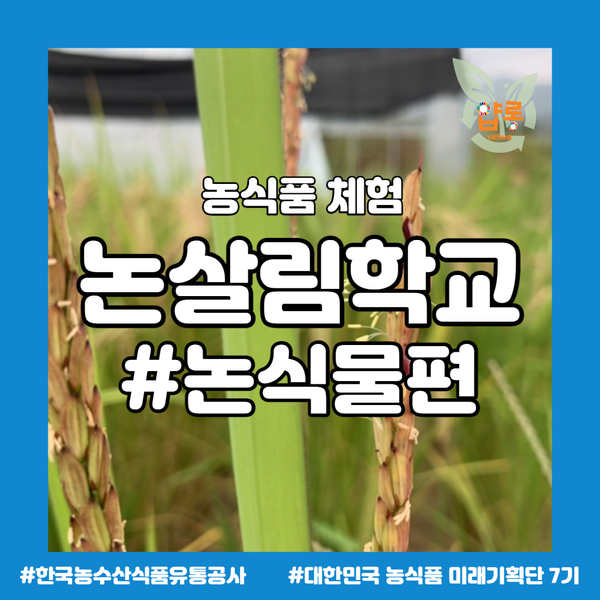 초정공동체 이미지