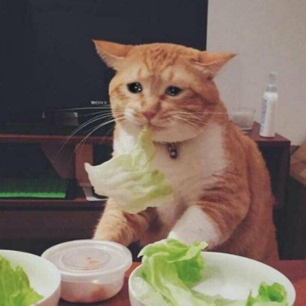 샐러디분당 이미지