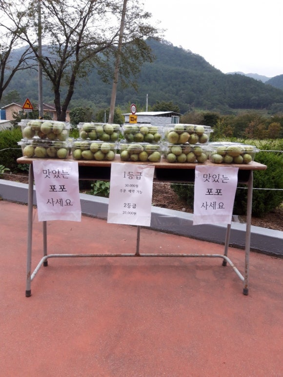 영양엘피지충전소 이미지