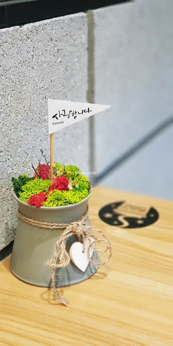셀렉토커피전주 이미지
