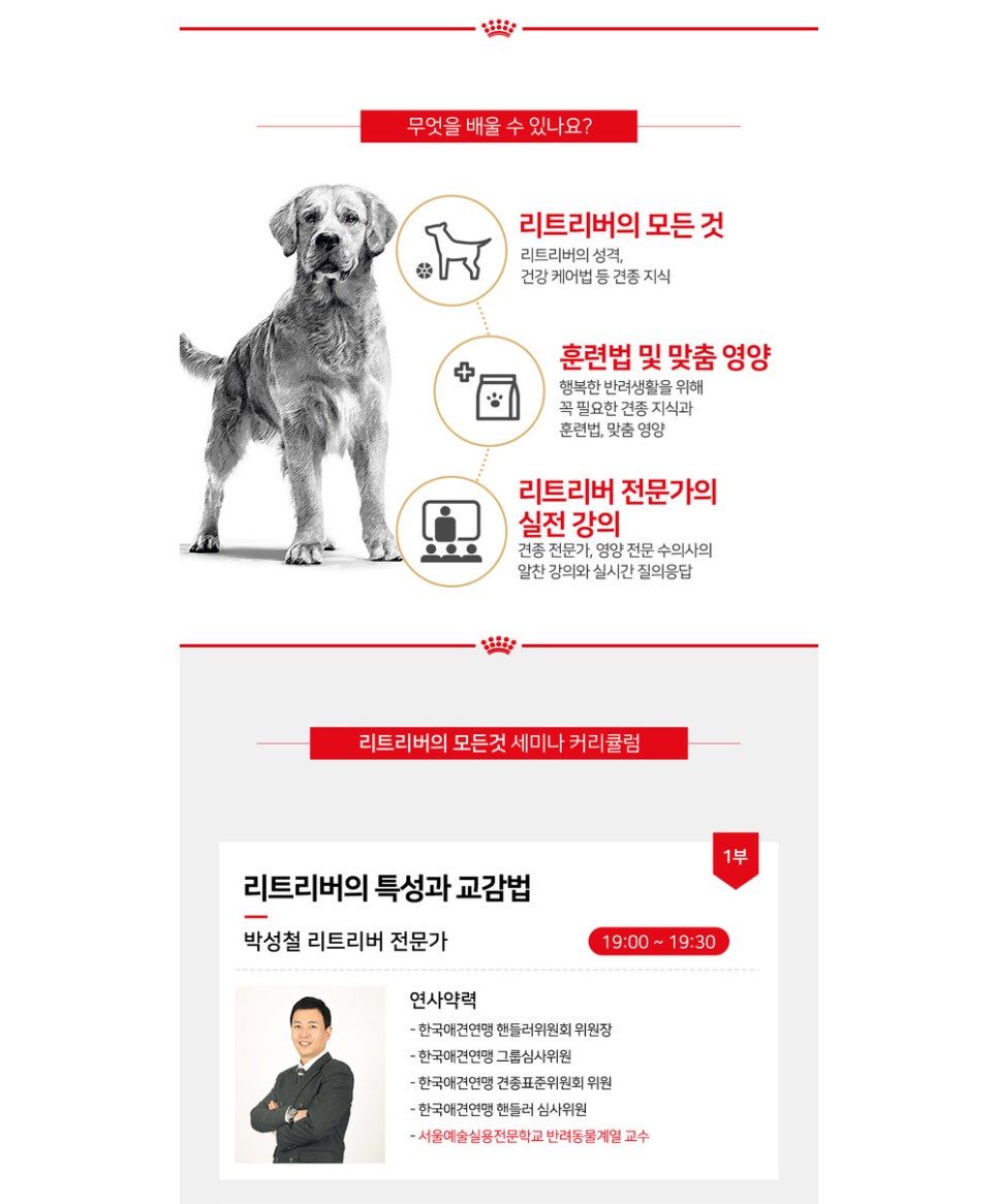 한국동물실용전문학교 이미지