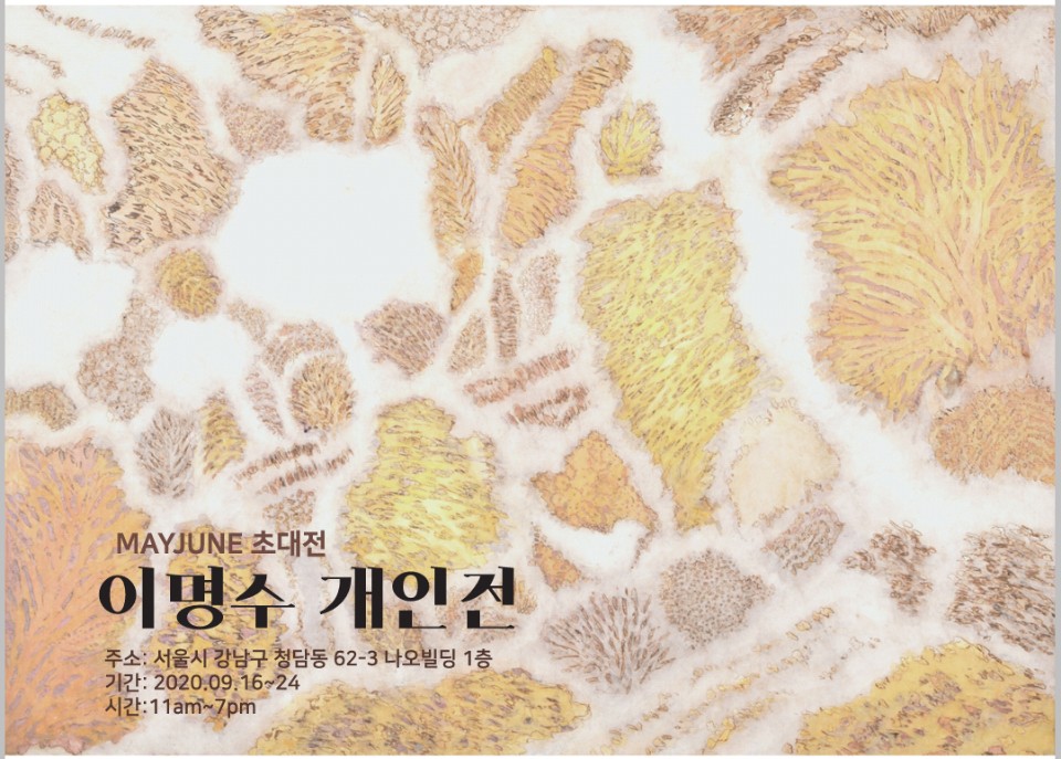 메이준갤러리 이미지
