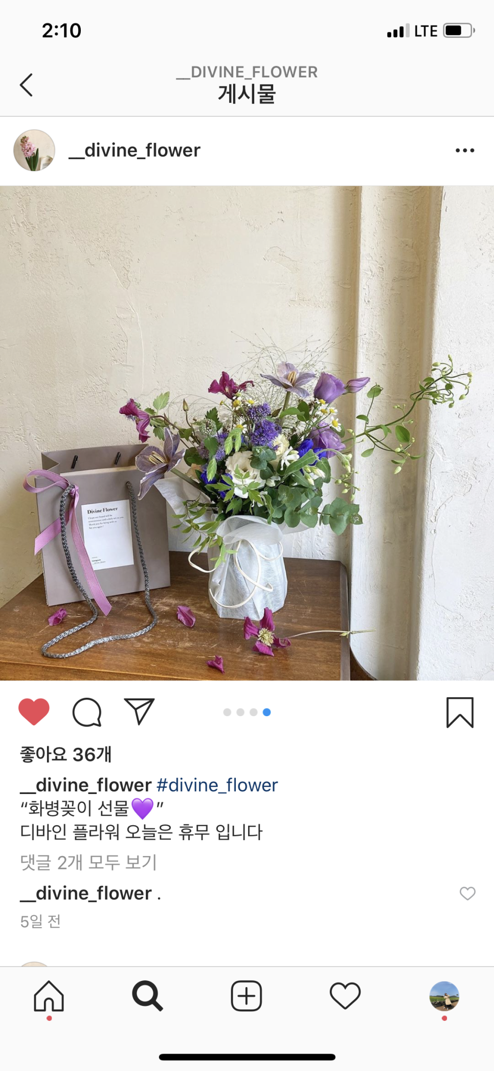 디바인플라워 이미지