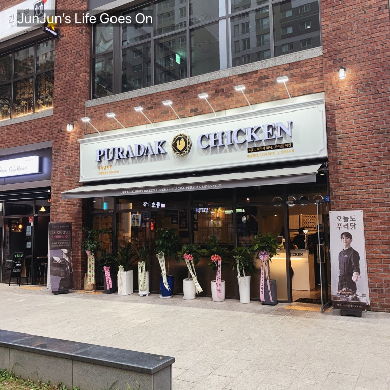 푸라닭고양 이미지
