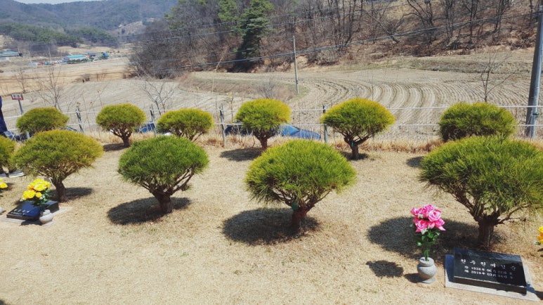 분당수목장 이미지