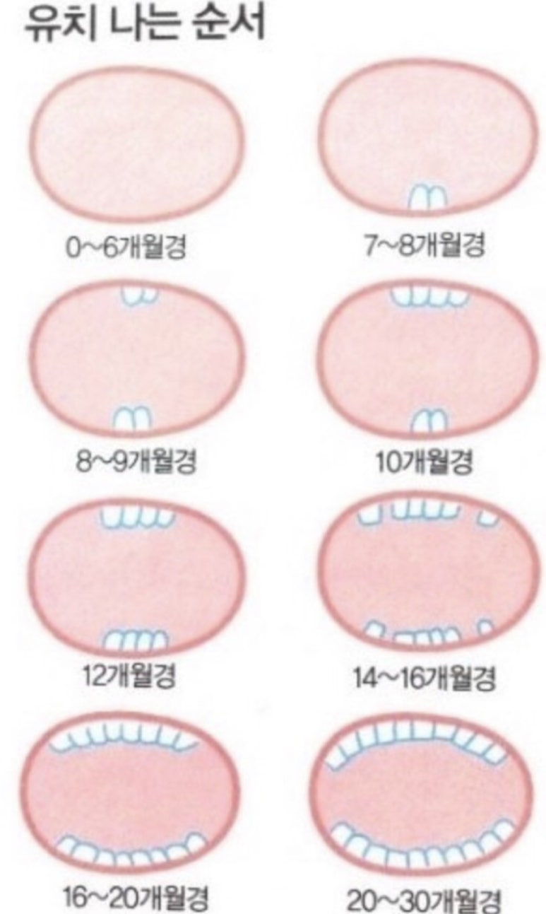 뿅이아니고뿅 이미지