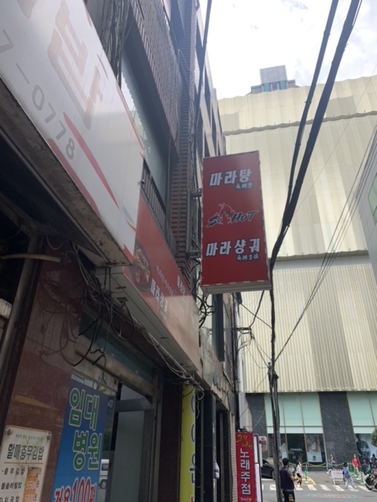 마라502 이미지