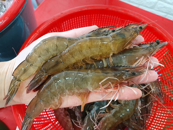 오일장수산 이미지