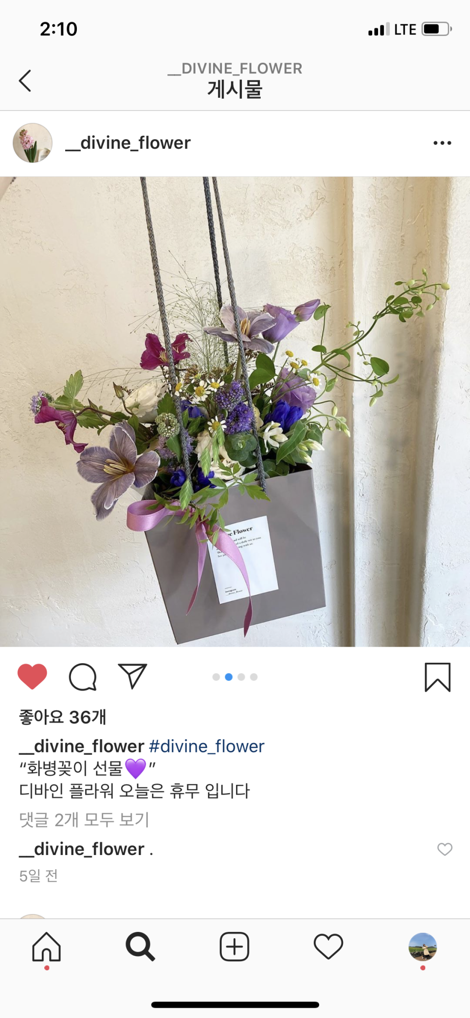 디바인플라워 이미지