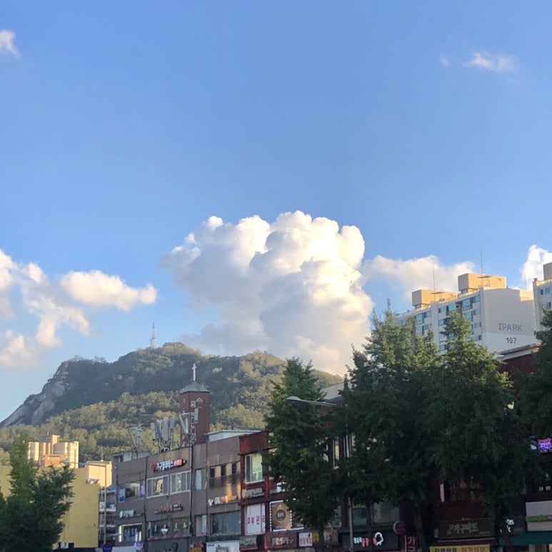 유진화원 이미지