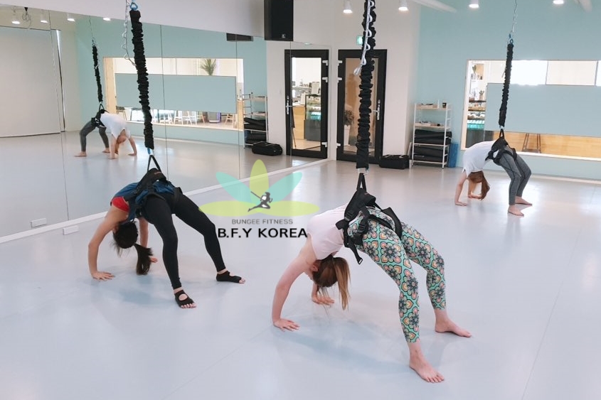 한국번지피트니스협회 이미지