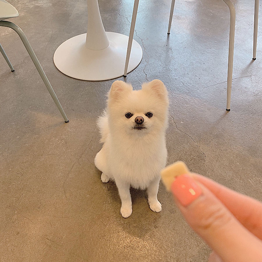 위드스테이부산 이미지