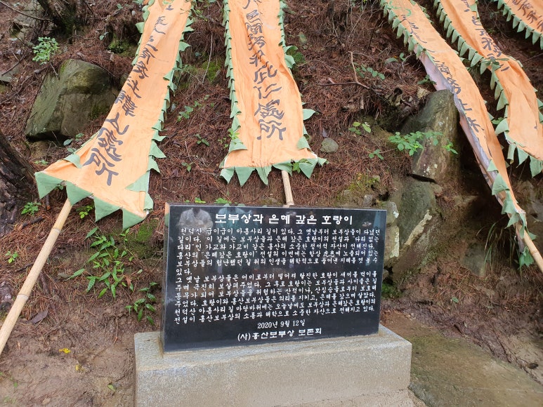 호랑이보부상 이미지