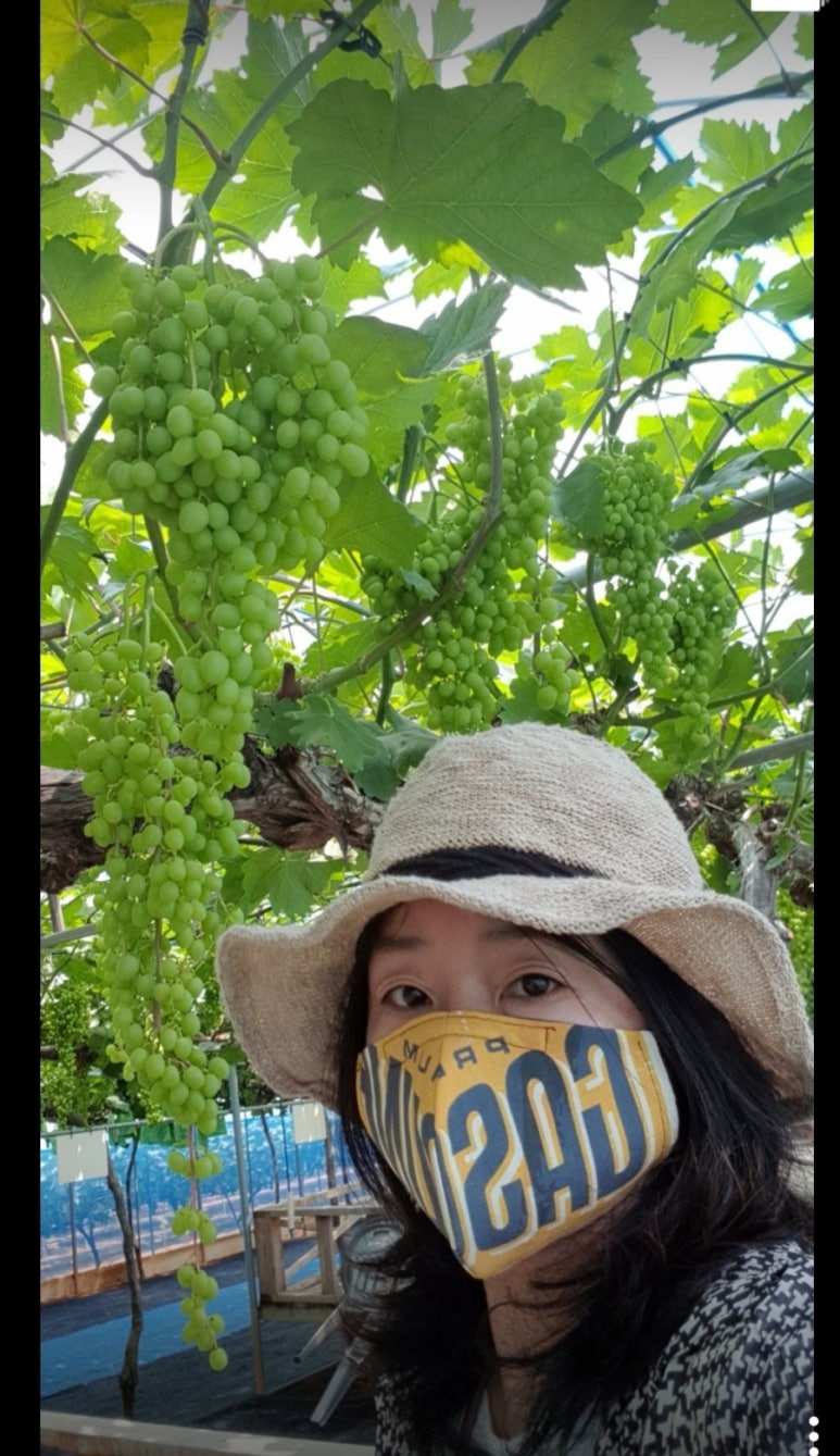 법인로컬랜드 이미지
