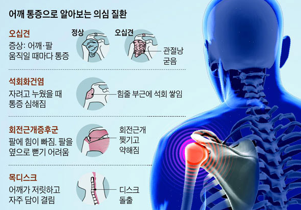 성모한길정형외과 이미지