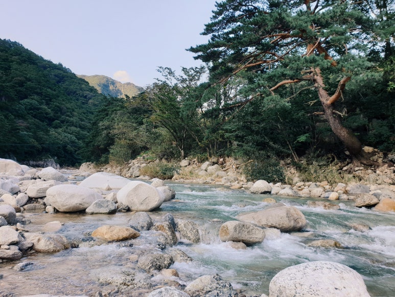 오색장군바위캠핑장 이미지