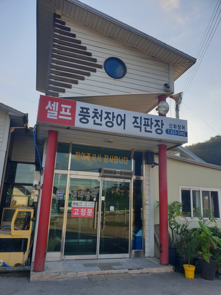 신화장어 이미지