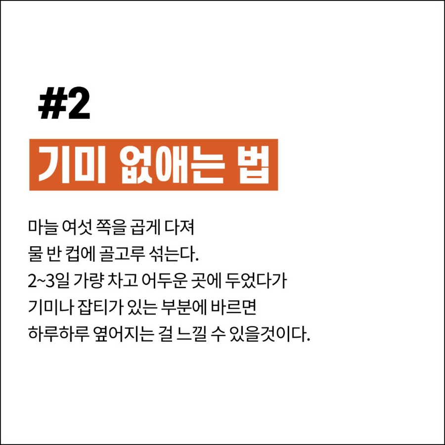 성신피부관리 이미지