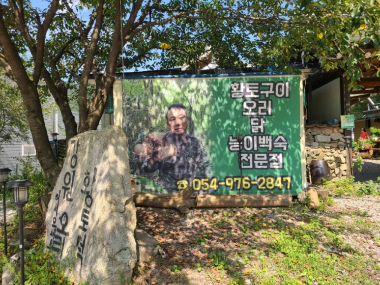 천년오리 이미지