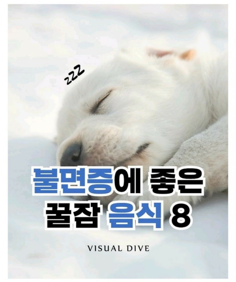꿀잠 이미지