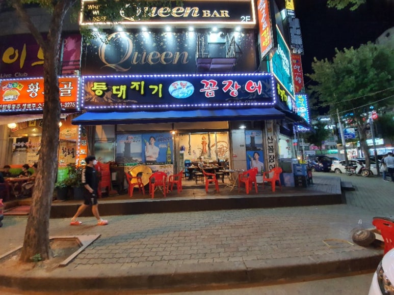 등대지기꼼장어 이미지