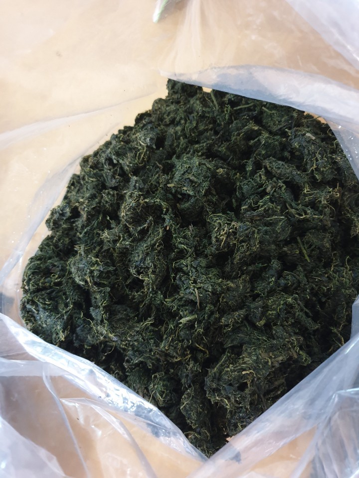 손맛고을 이미지
