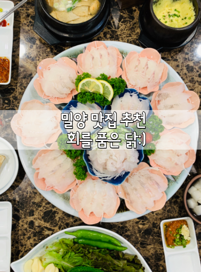 회를품은닭 이미지
