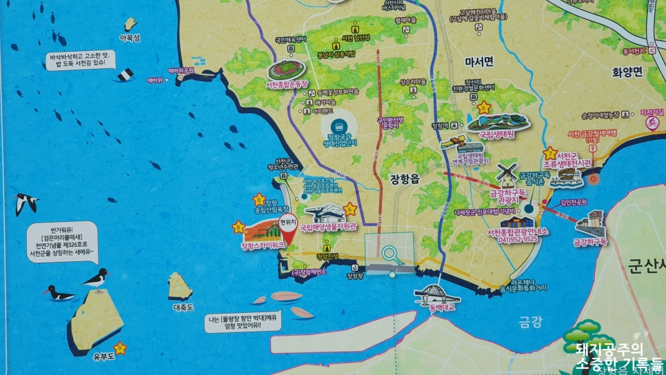 장항수산 이미지
