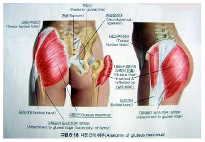 아이앤지짐 이미지