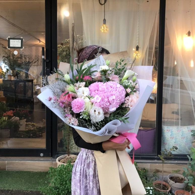 플로제 이미지