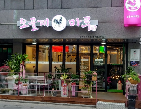 오골계마루 이미지