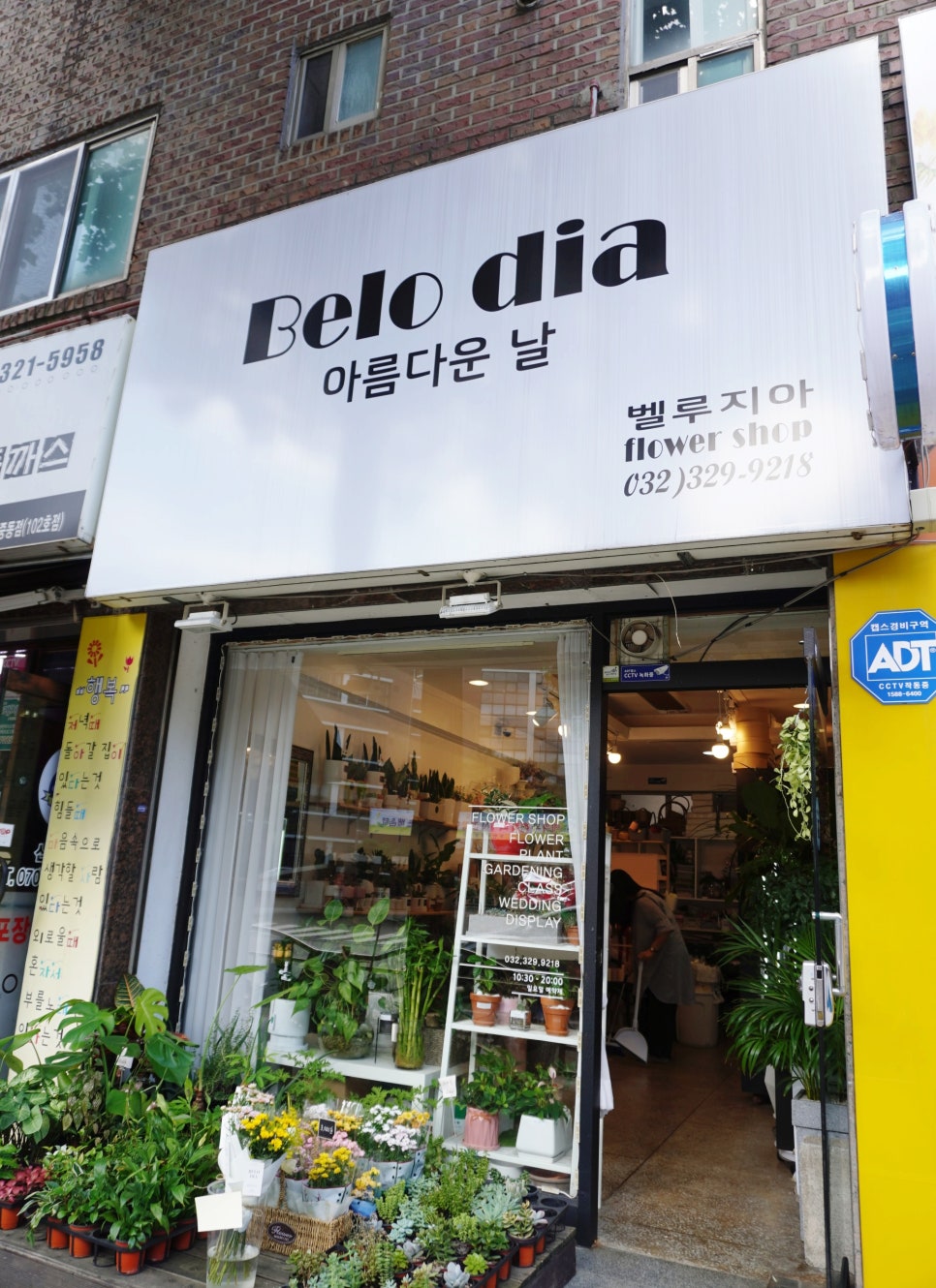 지아플라워 이미지