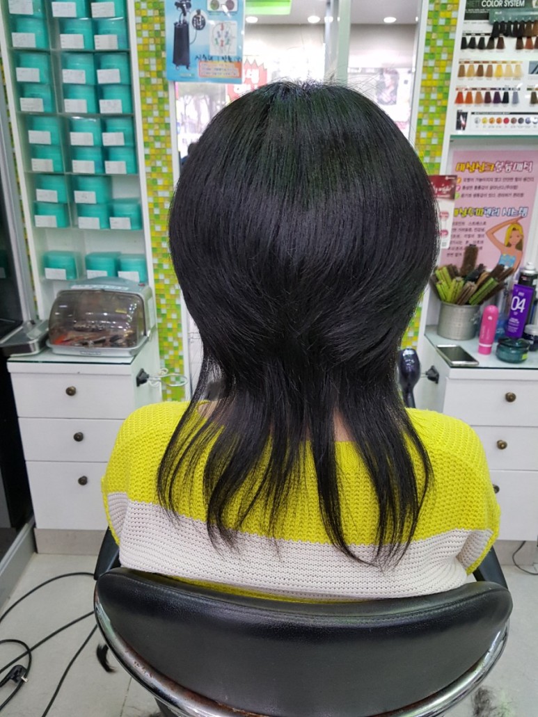 마샬헤어라인 이미지