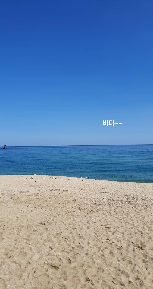 오늘 이미지