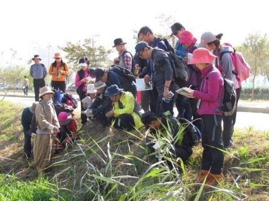 한국숲해설가협회 이미지