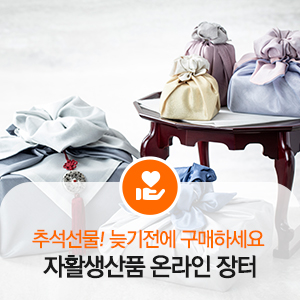 장터11호 이미지