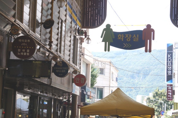 정선시니어클럽 이미지