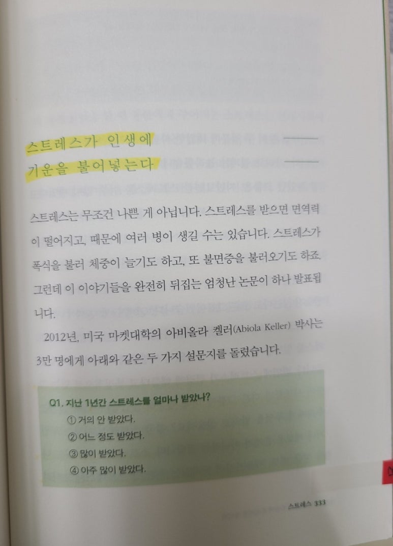 아비올라 이미지
