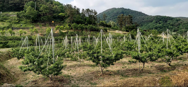 화순정보통신 이미지