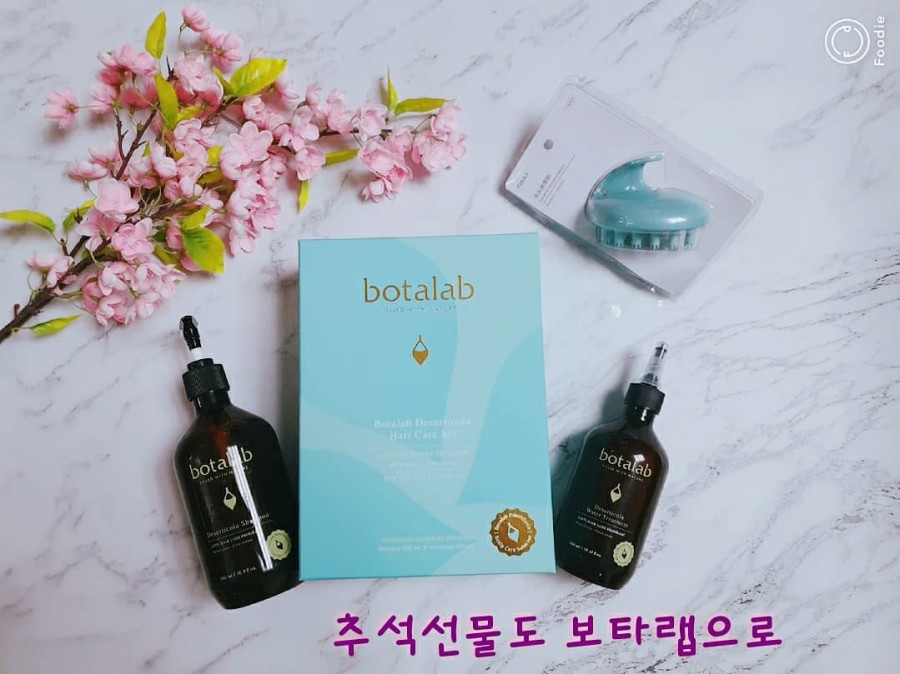 보라인셀덤 이미지